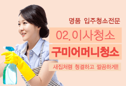 이사청소