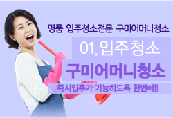 입주청소